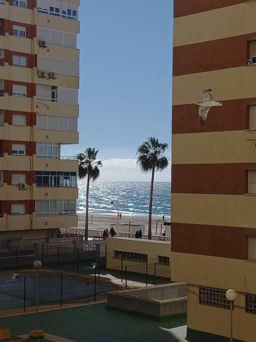 Ferienwohnung Alegrias De Cadiz By Gades Gestion Exterior foto